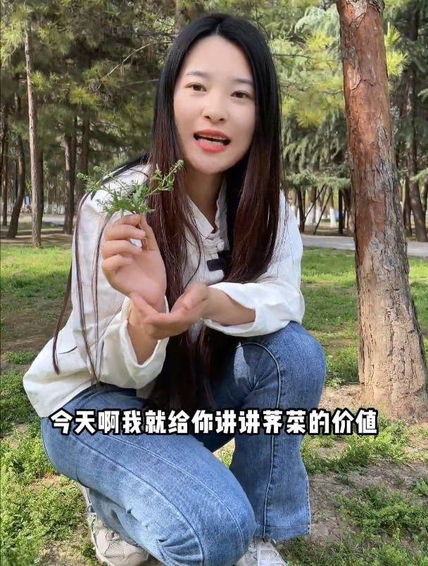 荠菜煮鸡蛋可是个好宝贝