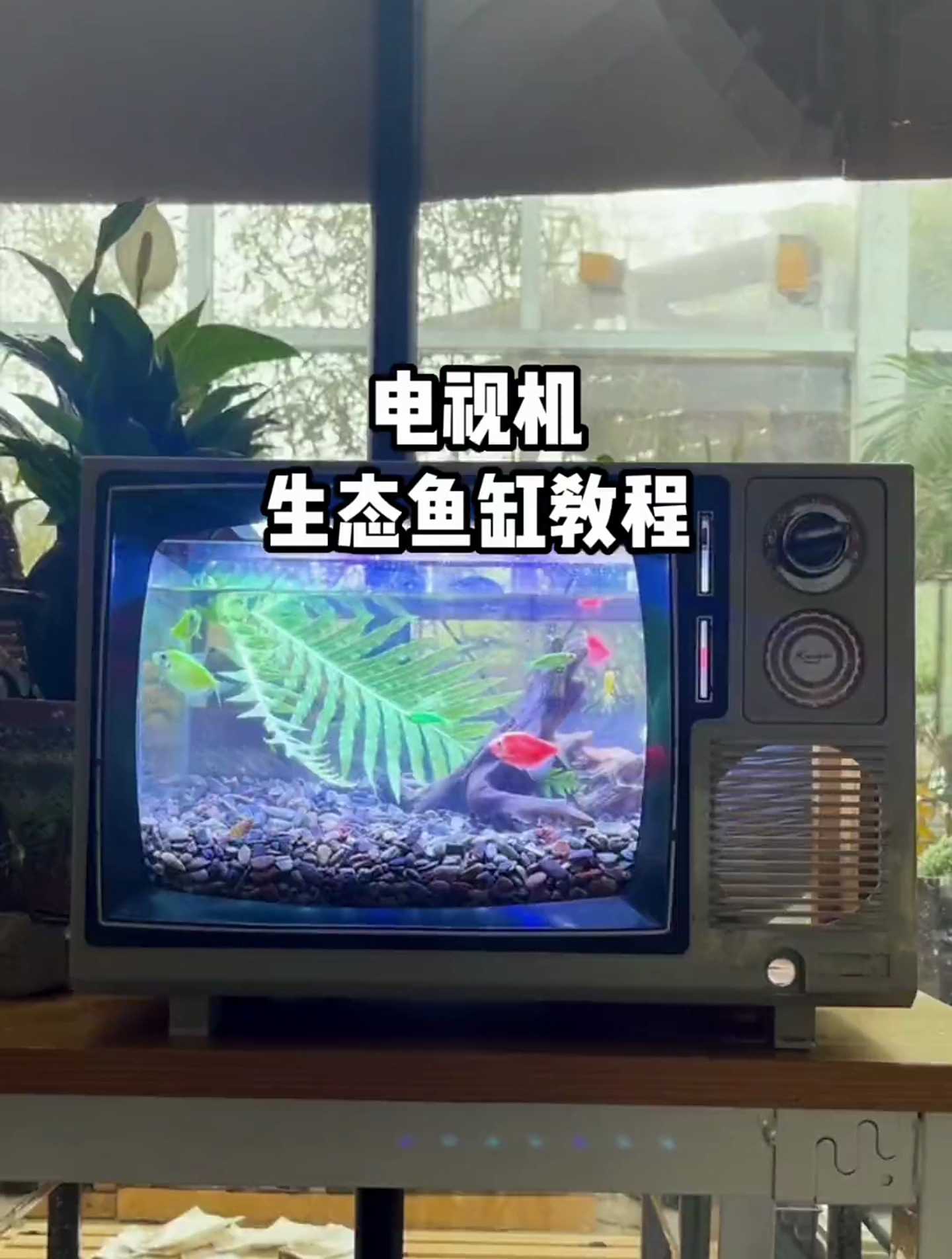 黑白电视里有回忆,改造成鱼缸,让回忆变成彩色的!