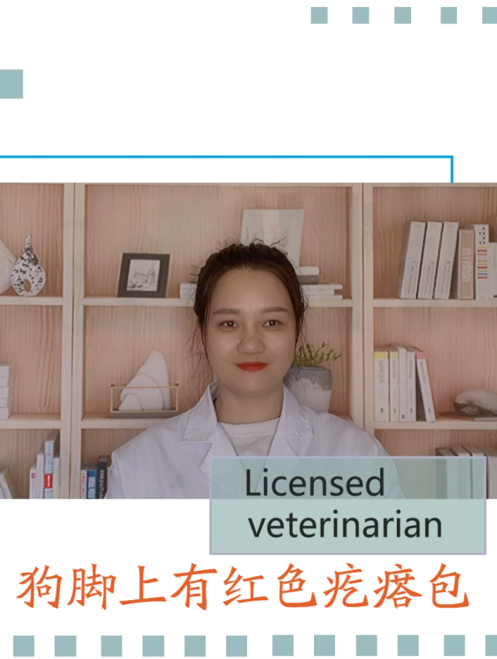 狗脚上有红色疙瘩包