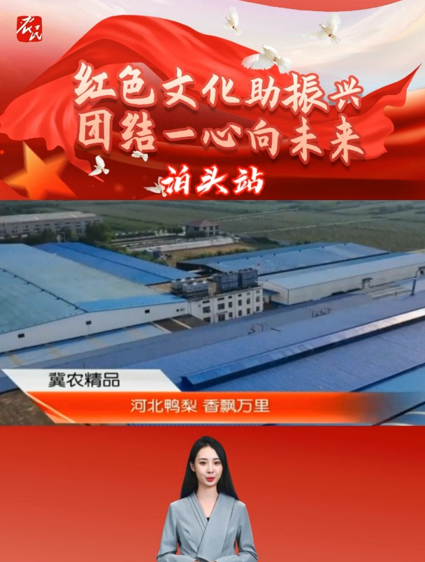 泊头鸭梨 香飘万里