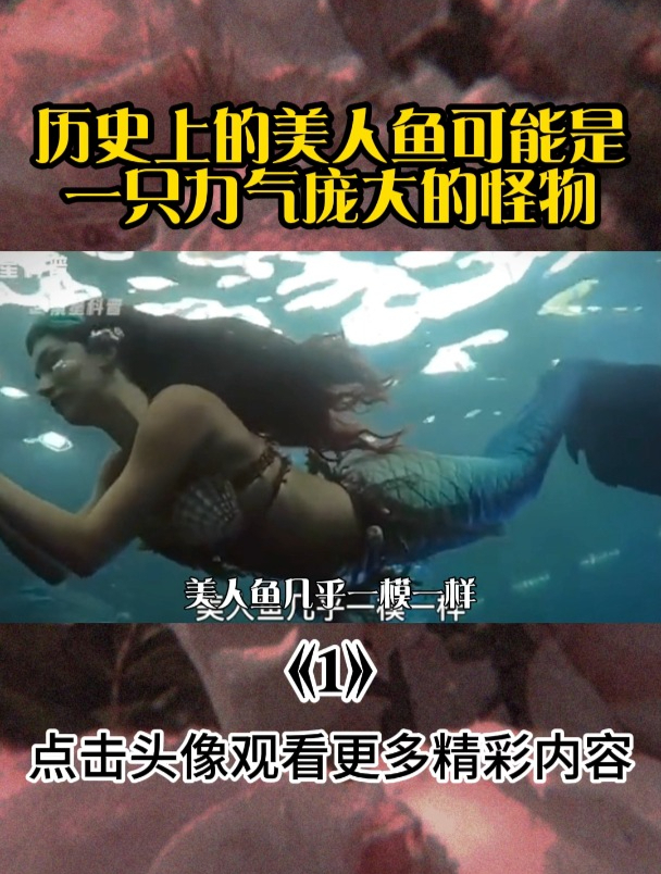 历史上的美人鱼可能是一只力气庞大的怪物
