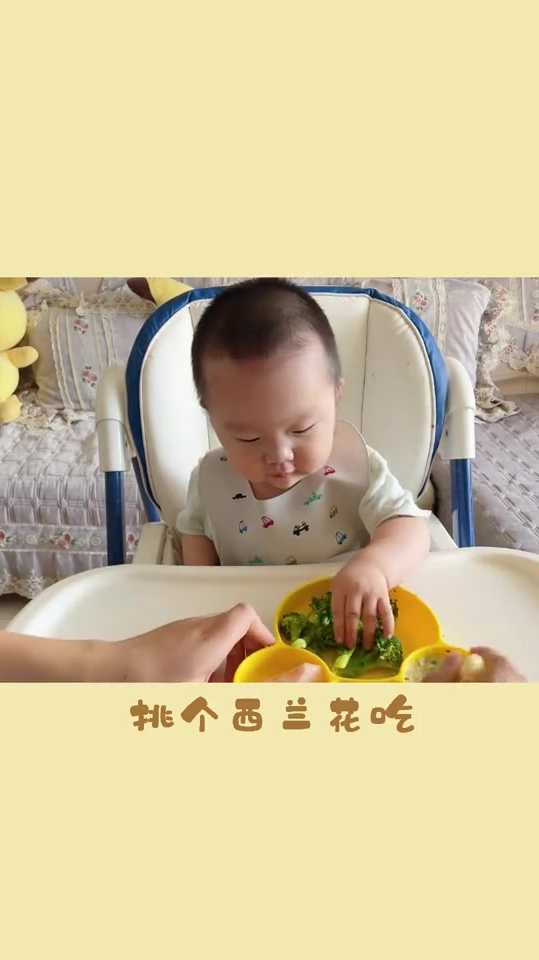 8月龄宝宝辅食|牛肉青菜香菇粥