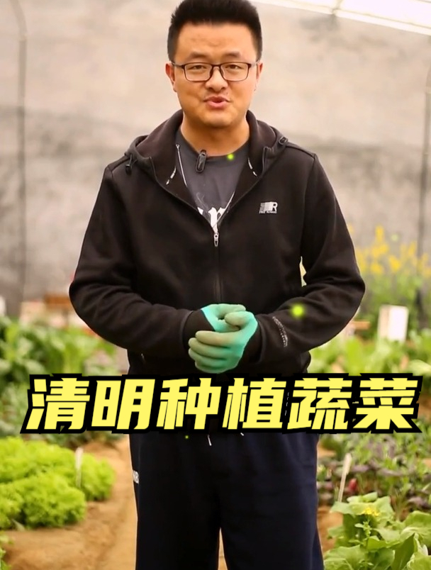还不知道,清明适合种什么蔬菜的菜友,今天就为您带来详细的菜单