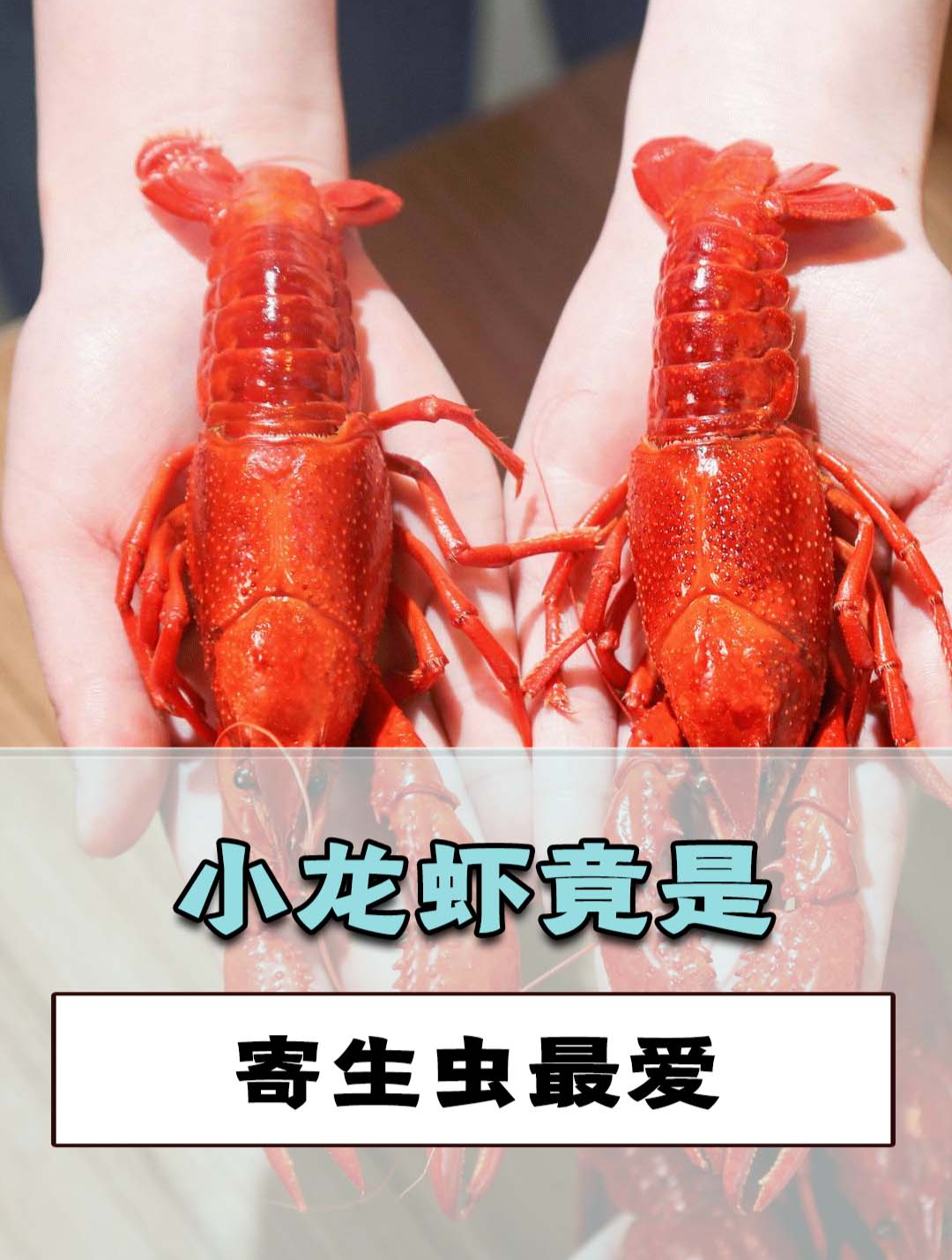 寄生虫最多的食物!小龙虾竟是寄生虫最爱,水果也不能掉以轻心!