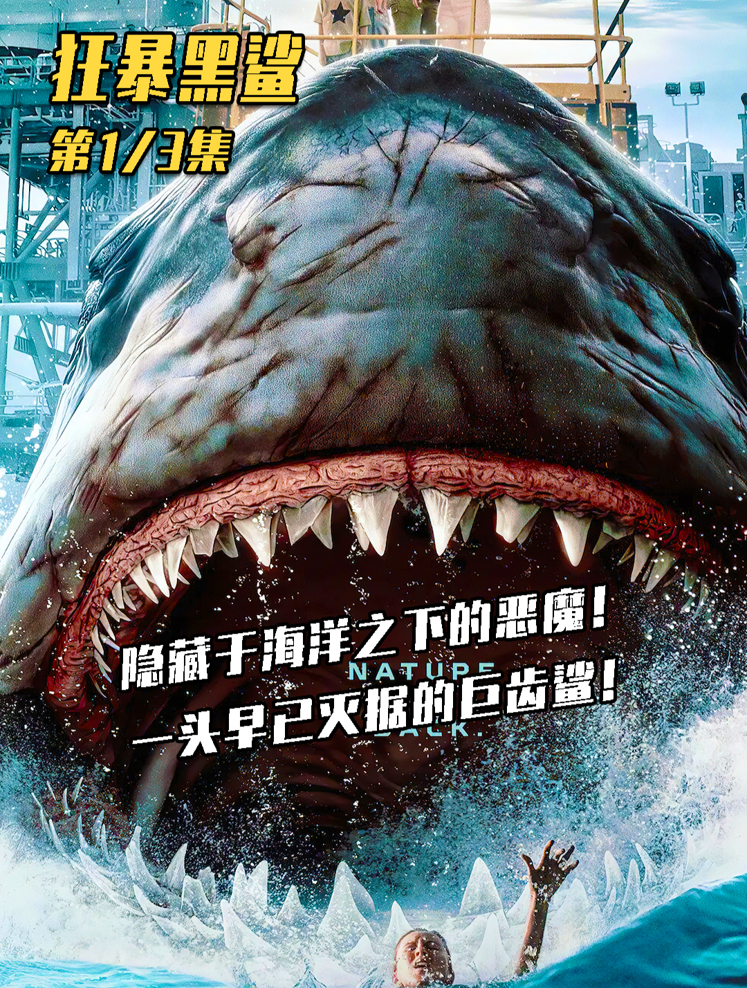 隐藏于海洋之下的怪物鲨鱼,一条早已灭绝的巨齿鲨