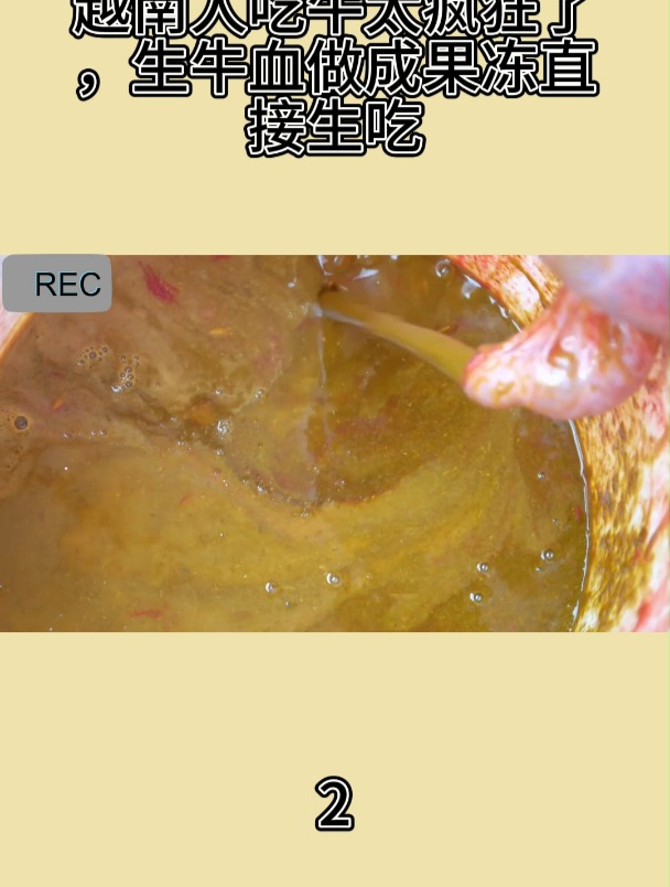 越南人吃牛太疯狂了,生牛血做成果冻直接生吃2