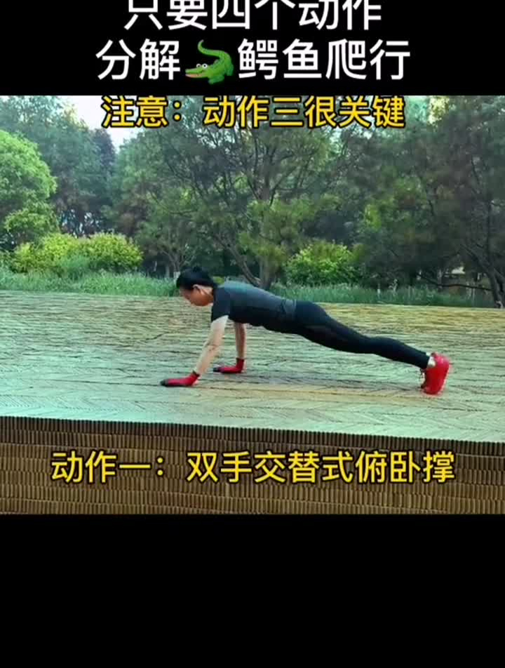 四个动作分解鳄鱼爬行,注意动作三很关键哦!