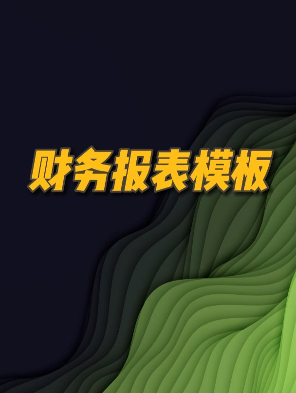 财务报表标准模板