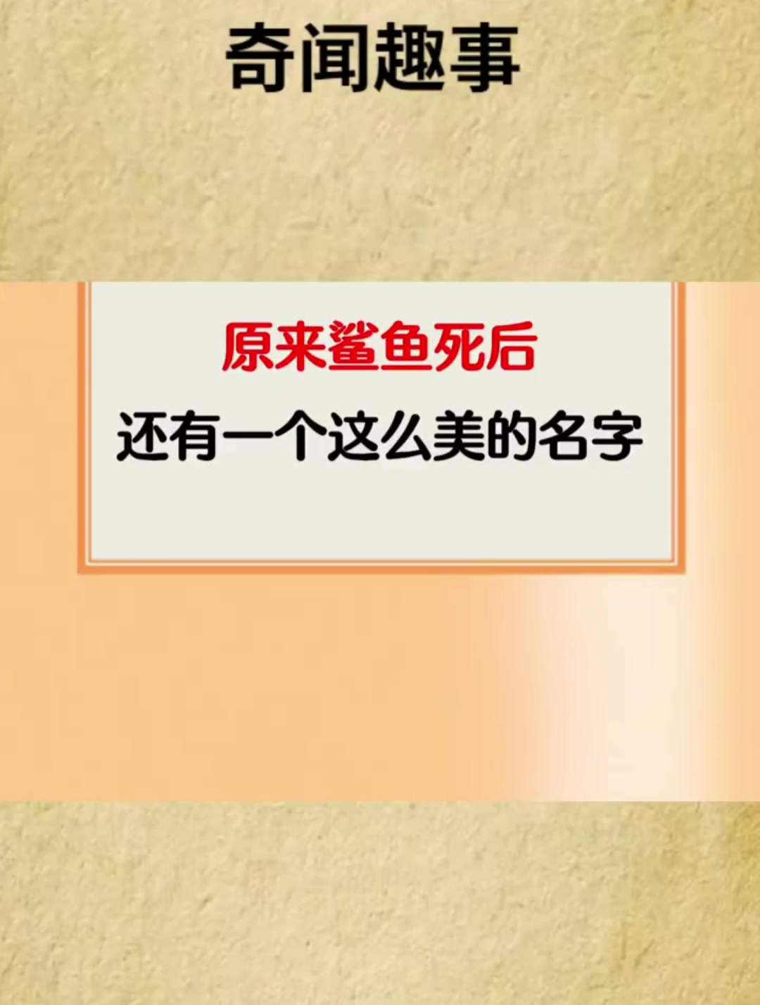 原来鲨鱼死后还有这么美的名字
