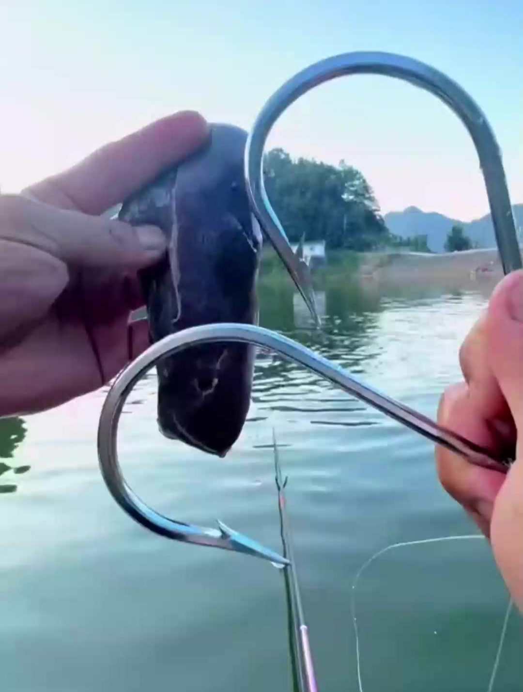 用特别大的鱼钩钓大鱼,百斤巨物也能拉上岸,期待惊喜!