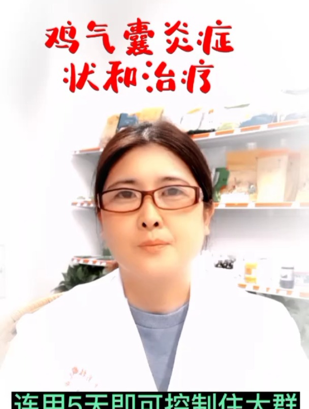 禽医玲兰姐讲鸡气囊炎的临床症状表现,鸡气囊炎防治方法!