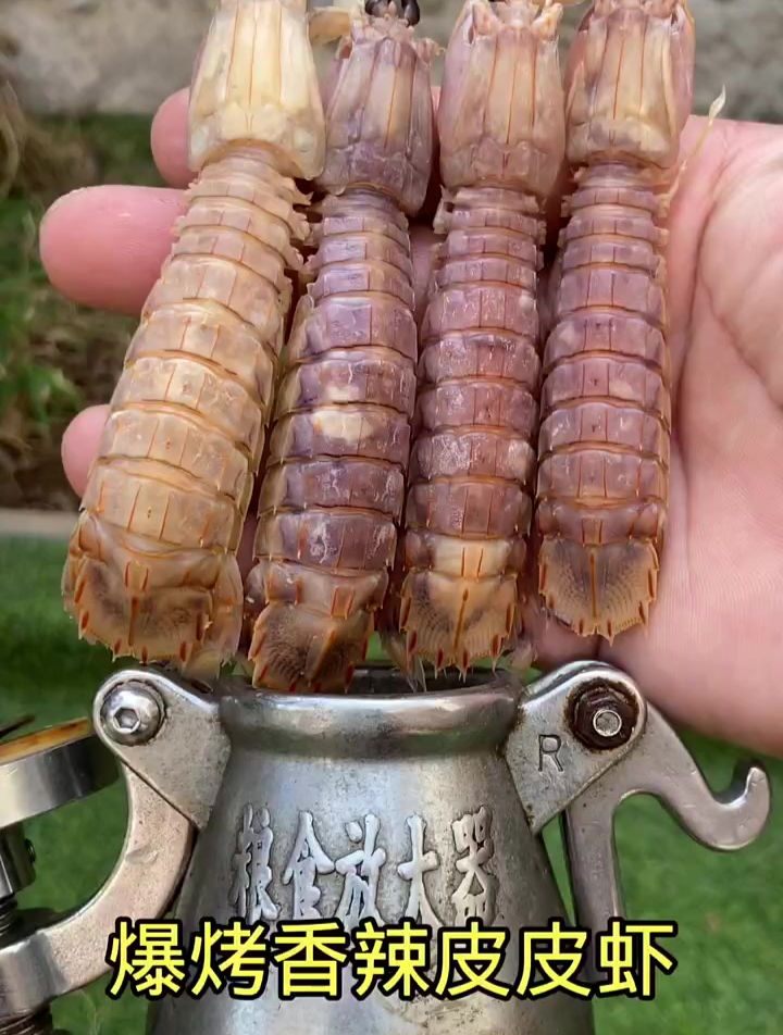 爆烤香辣皮皮虾,高端的食材做法必须有仪式感,最后居然