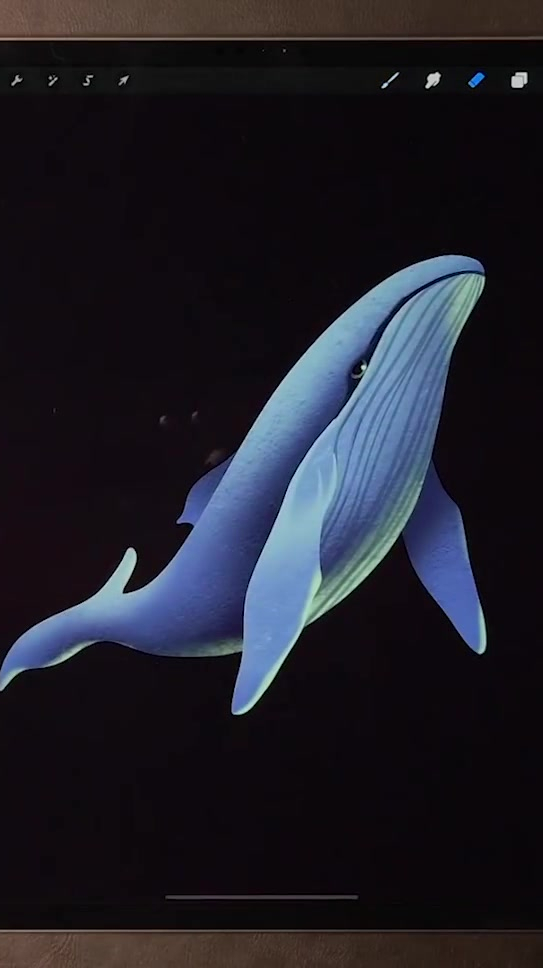 iPad插画鲸鱼绘画视频