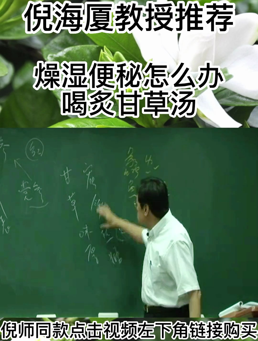 倪海厦老师讲:炙甘草汤的功效与作用