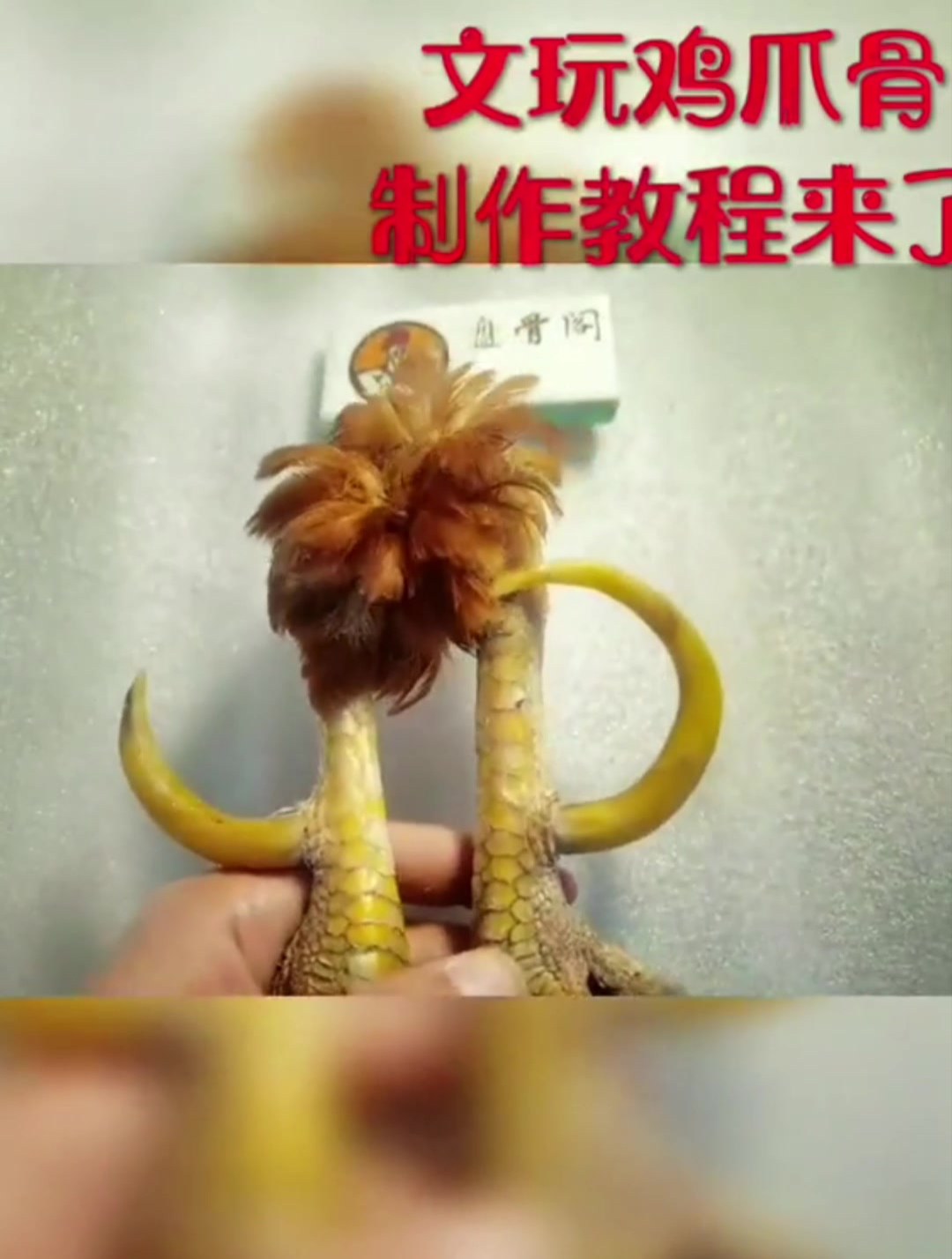完整版鸡爪骨制作教程 我看谁还学不会