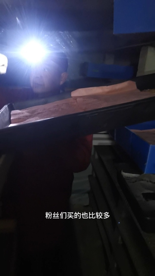 快来看孙师傅如何挑选面包虫的成虫