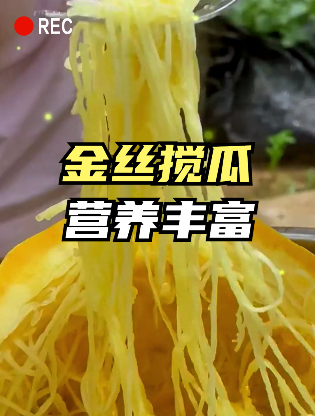 金丝绞瓜也叫鱼翅瓜,是蔬菜中的稀有品种,常吃清热去火,利健康