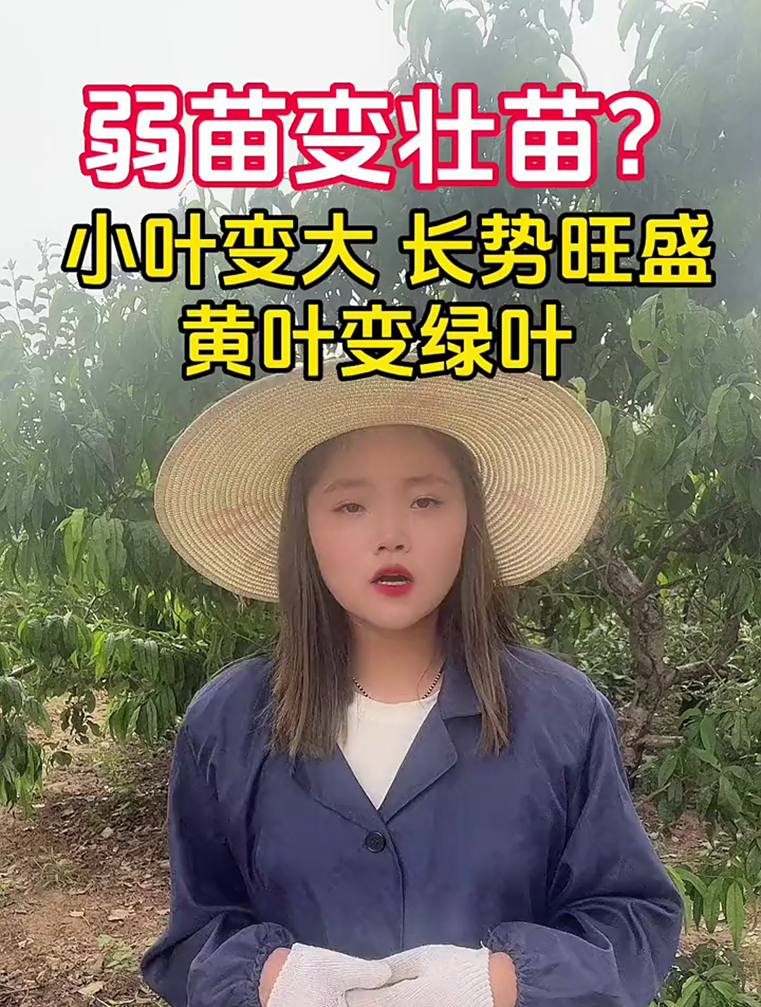 有一款这么神奇的小配方,他可以弱苗变壮苗