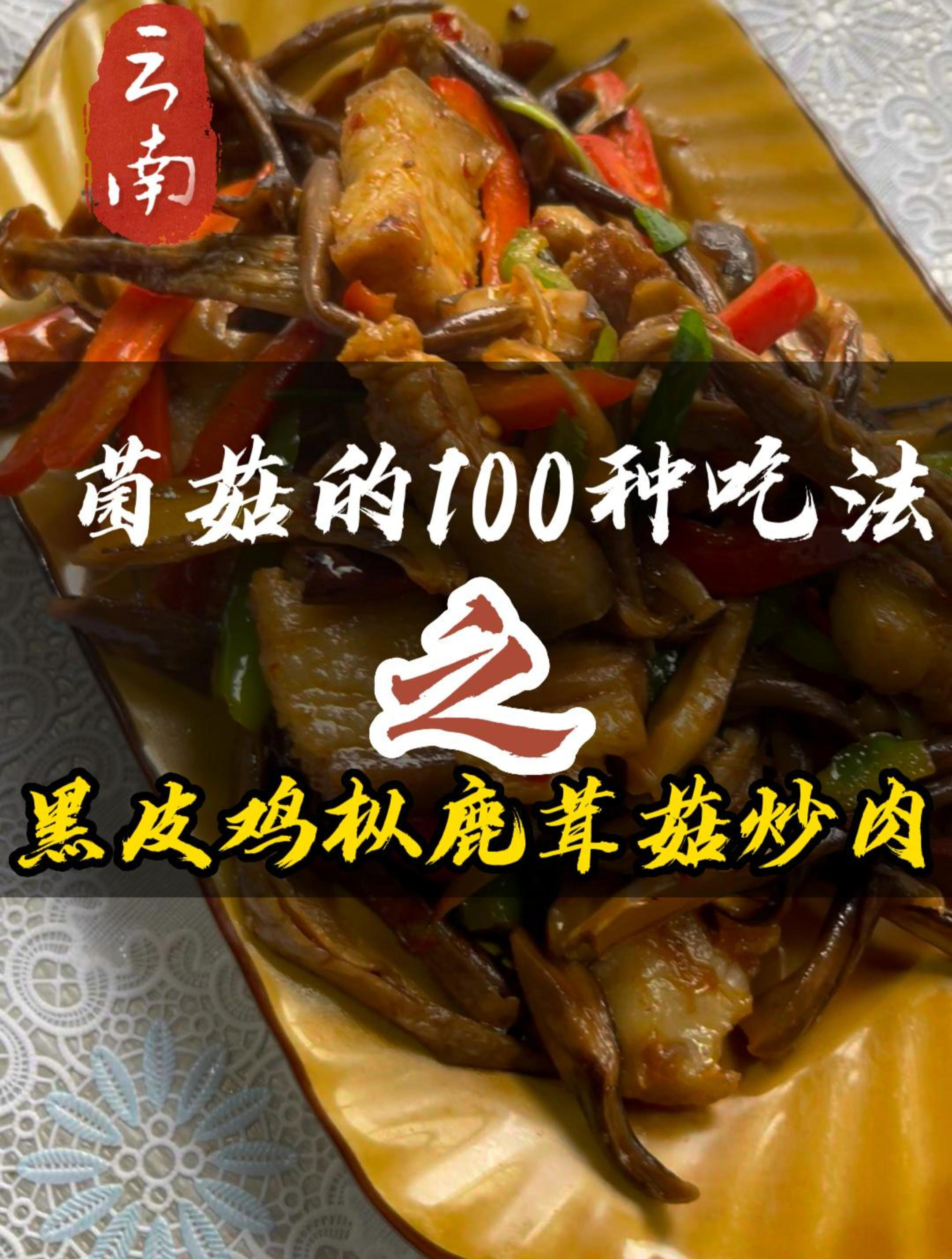 黑皮鸡枞鹿茸菇炒肉完整版