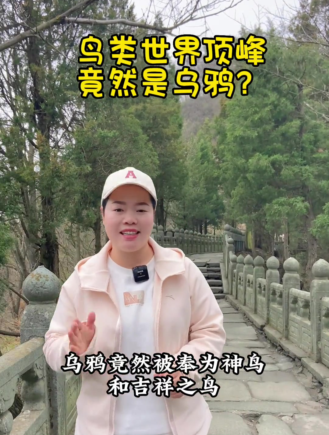 鸟类世界顶峰竟是乌鸦,它不仅不晦气,还是吉祥和忠贞爱情的象征