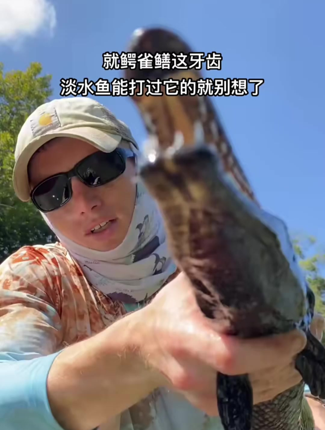 就鳄雀鳝在这牙齿,淡水鱼能打过它的就别想了,巨骨舌鱼也不行