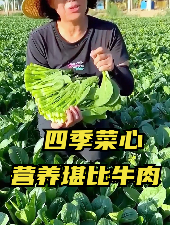为什么广东人做的蒜蓉菜心,又绿又脆又好吃?其实做法很简单