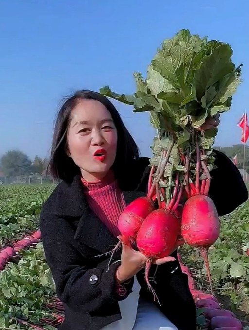 可当水果吃的“凤梨萝卜”,红皮红瓤汁水足,咬一口纯甜爆汁!
