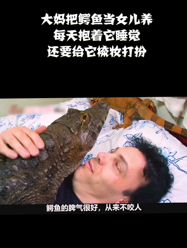 大妈把鳄鱼当女儿养,每天抱着它睡觉,还要给它梳妆打扮(3)