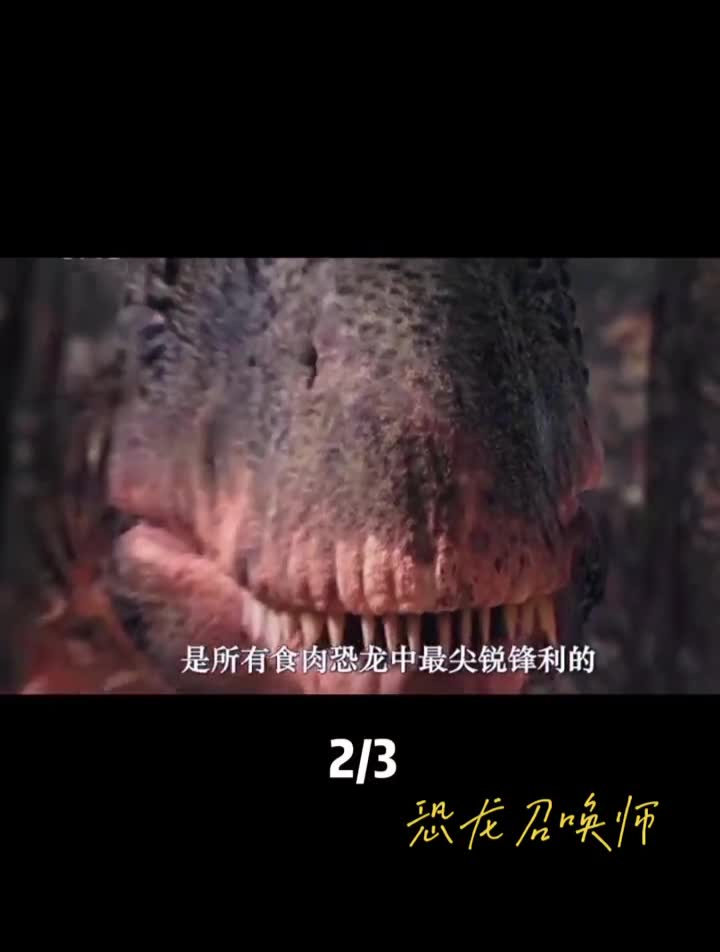 拥有锋利牙齿的鲨齿龙科普一下神奇动物在鲨齿龙史前巨兽恐龙+