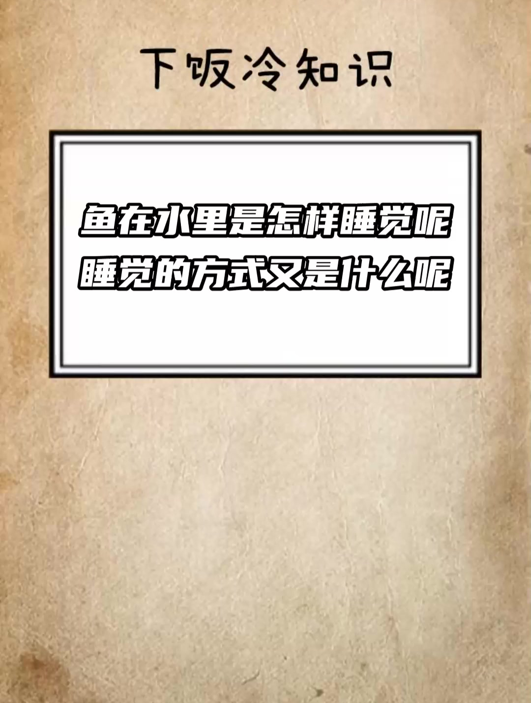 鱼在水里是怎样睡觉呢 睡觉的方式又是什么呢