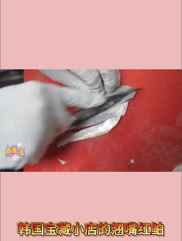 韩国宝藏小店的翘嘴红鲌2