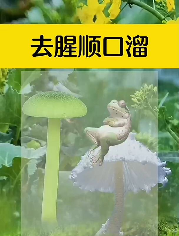 去腥顺口溜了,猪肉微臭土味强,八角桂皮小茴香