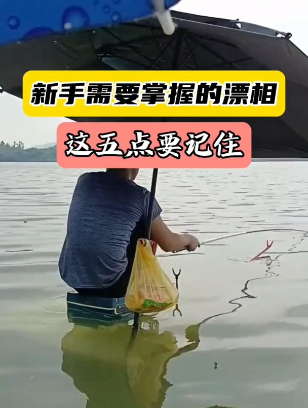 钓不同的鱼,如何掌握提竿时机?牢记这5种漂相就可以了!