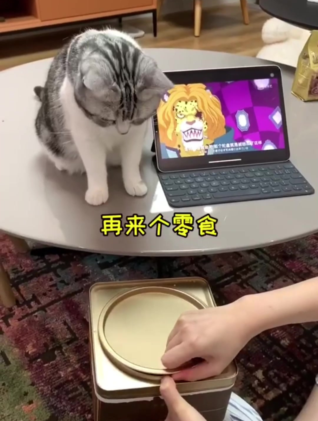 我和泡芙都是小漏嘴,还好家里有田螺姑娘