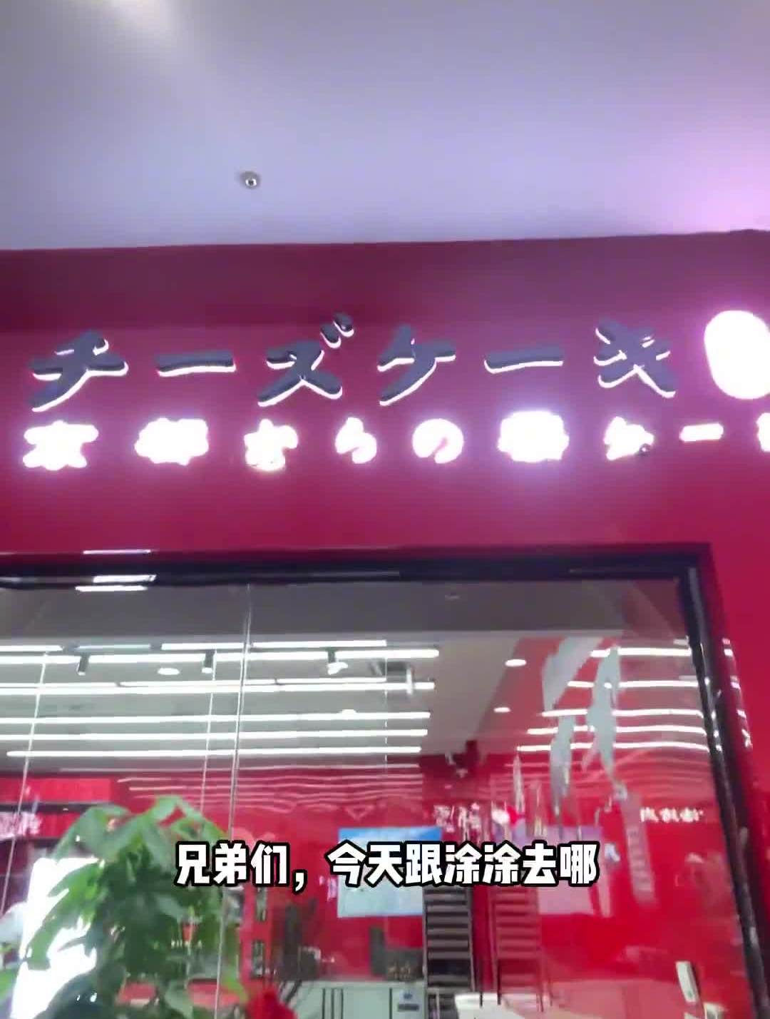 女孩子们最爱吃的芝士蛋糕来银川啦～