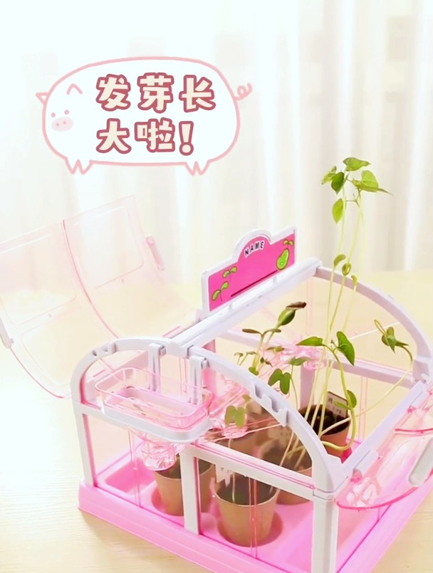 放暑假带孩子来种菜吧,体验播种的乐趣,顺便了解农民伯伯的辛苦