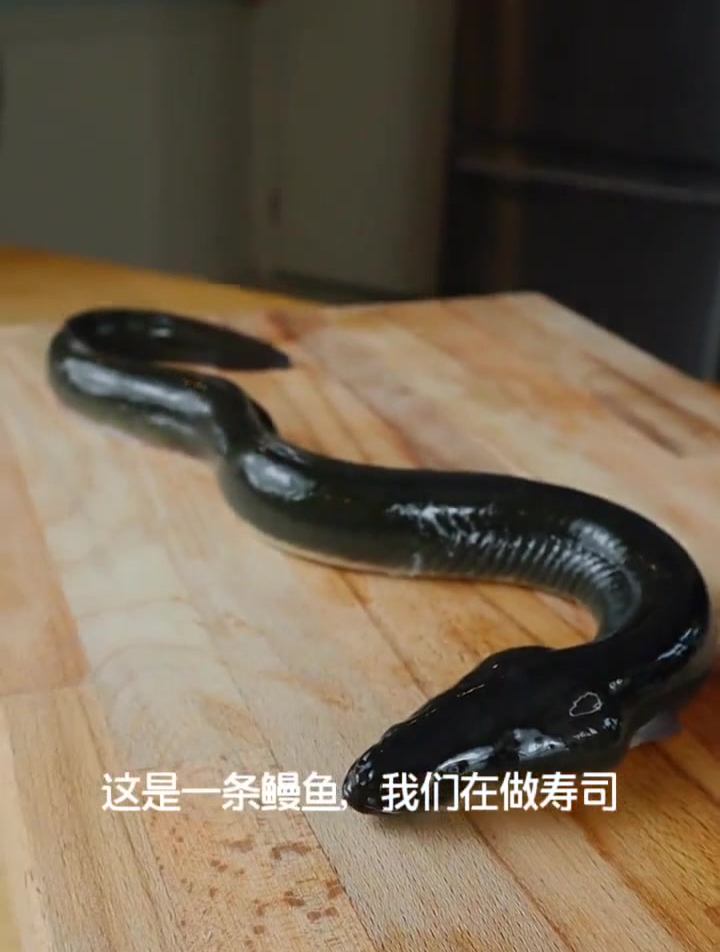 新鲜的鳗鱼寿司 美食 海鲜 吃货