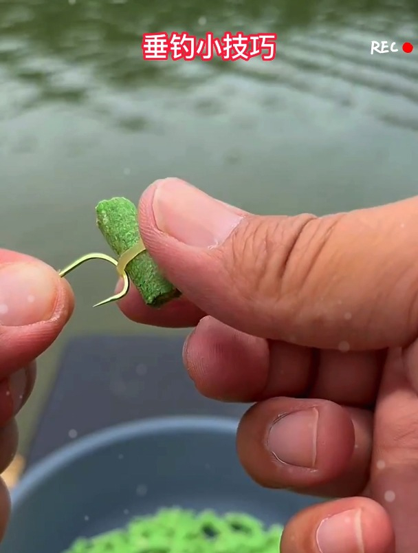 开春鲤鱼草鱼食量大,颗粒饵这样挂钩,不仅省钱效果也不一般!