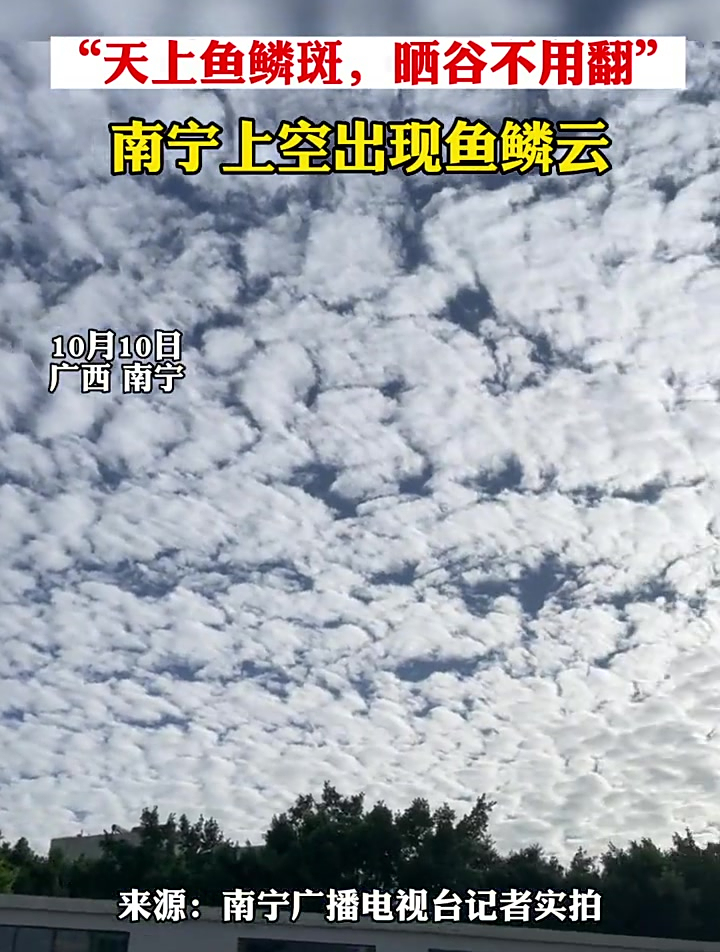 “鱼鳞斑”,是在中空逆温层下形成的云,是晴天的征兆