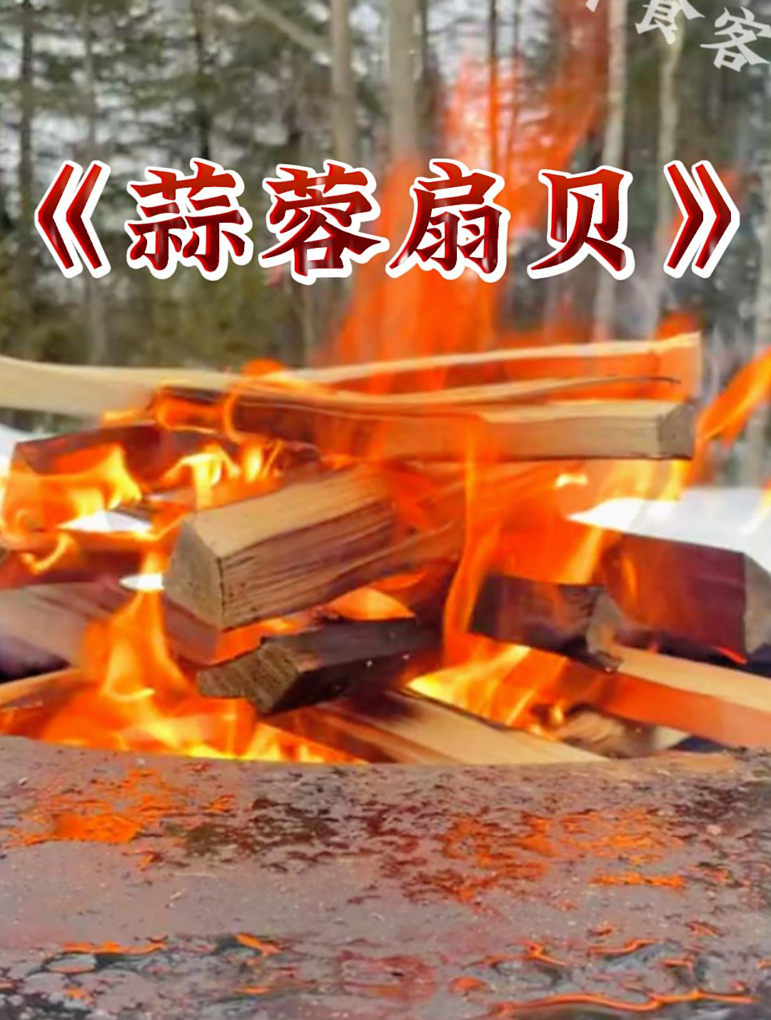 今日美食:《蒜蓉扇贝》雪中铁板烤扇贝也算是一种情调了