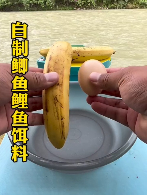 揭秘大师野钓鲤鱼草鱼饵料配方,一根香蕉就够了!