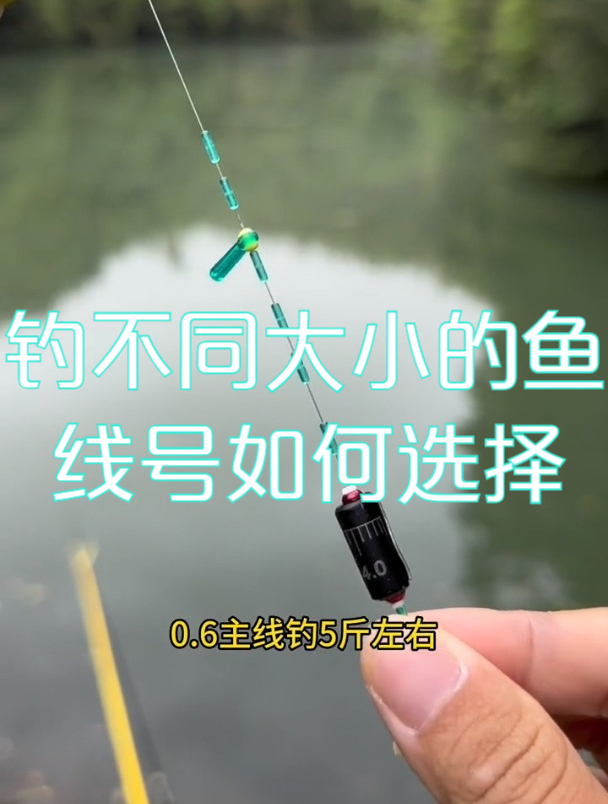 钓友讲解:钓不同大小的鱼,线号应该如何选择