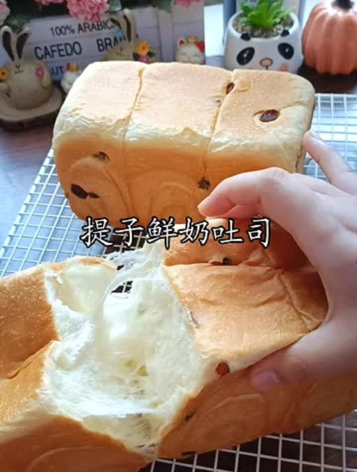 提子鲜奶吐司教程来咯,奶香浓郁柔软又拉丝