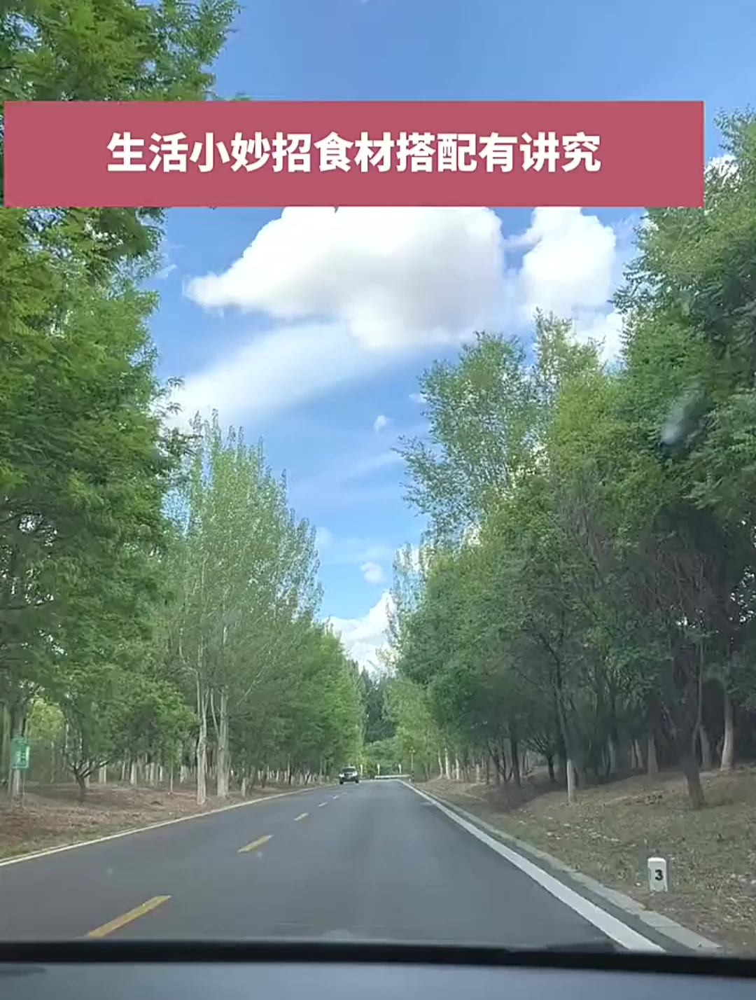 生活小妙招食材搭配有讲究,兔肉不和芹菜一起吃