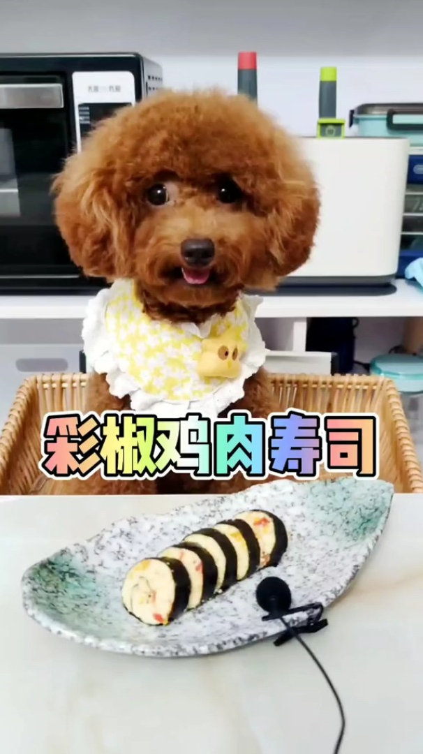 昨天的寿司教程来咯