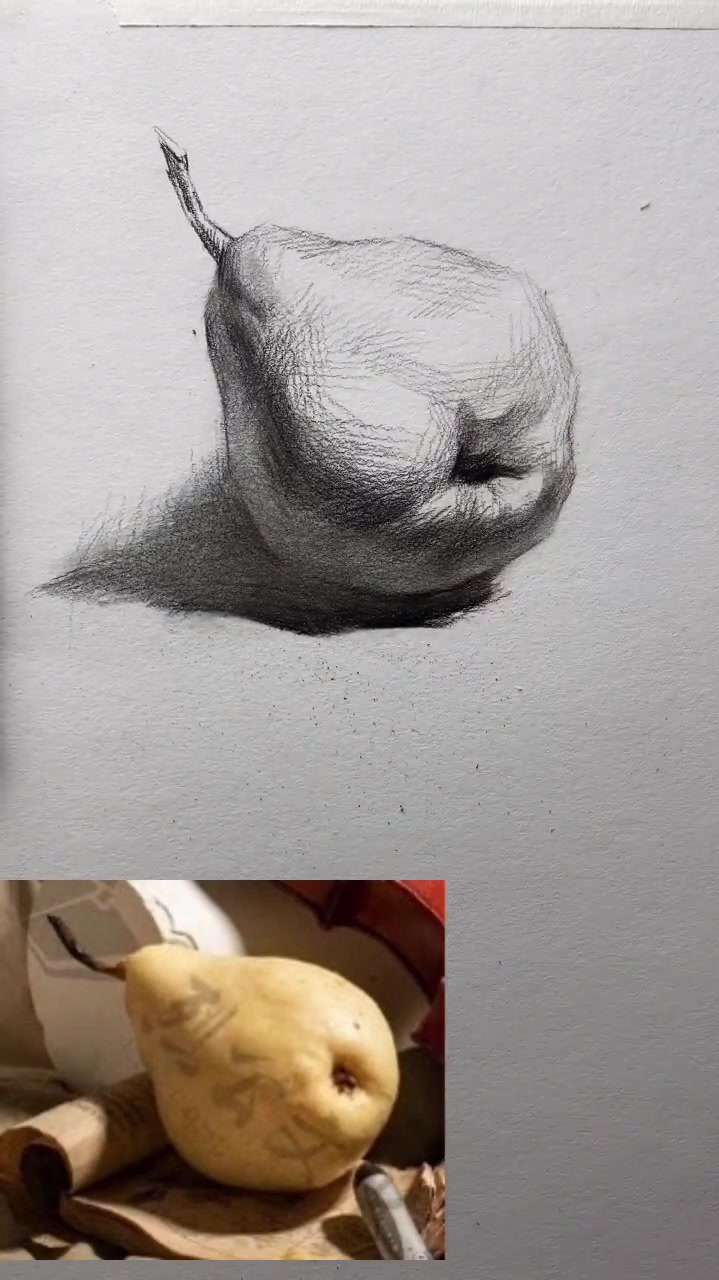 零基础,素描静物,单体,梨子,怎么画