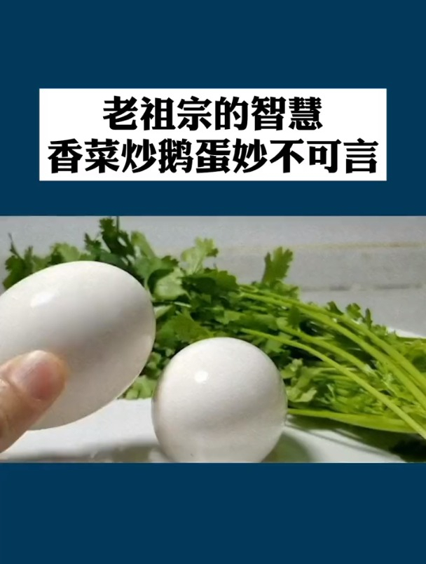 营养师陈允斌:鹅蛋加上香菜一起吃,这个困扰不会有!