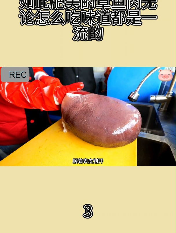 如此肥美的章鱼肉无论怎么吃味道都是一流的3