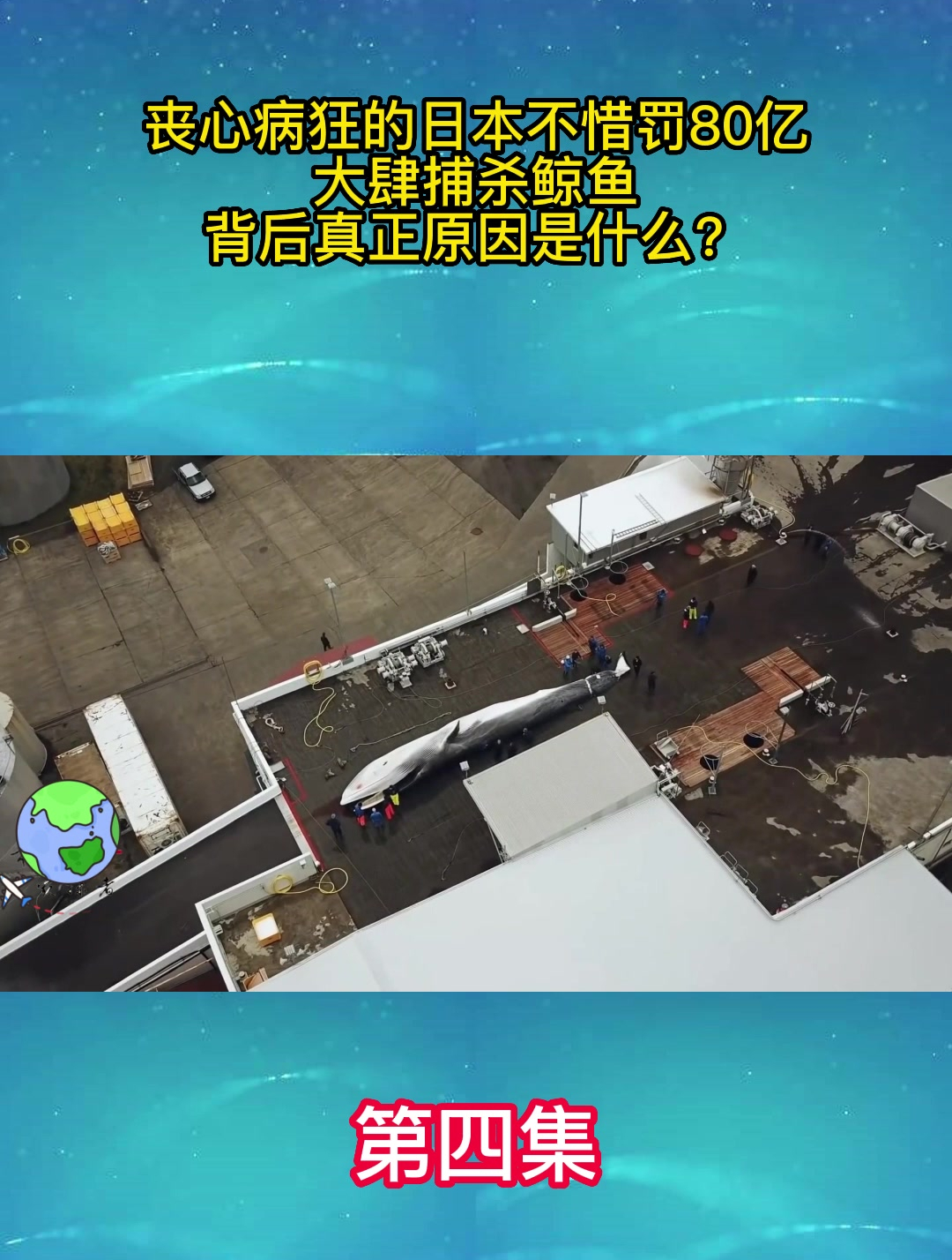 丧心病狂的日本不惜罚80亿,大肆捕杀鲸鱼,背后真正原因是什么?