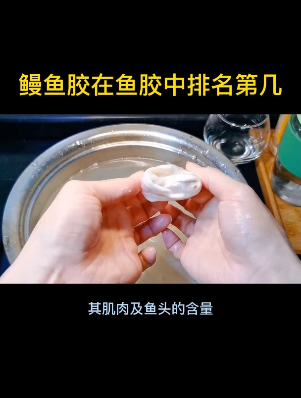 鳗鱼胶在鱼胶中排名第几